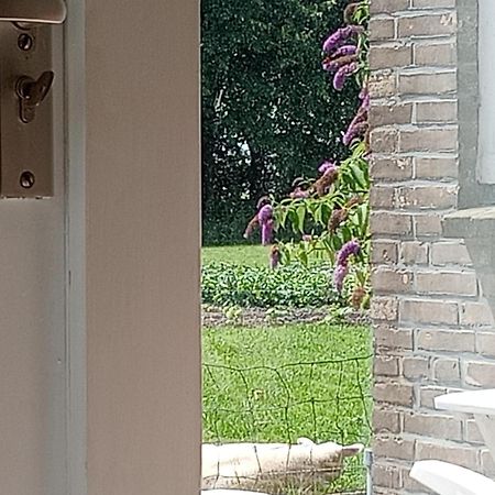 In Het Mooie Friesland Vele Bezienswaardigheden Hantum المظهر الخارجي الصورة