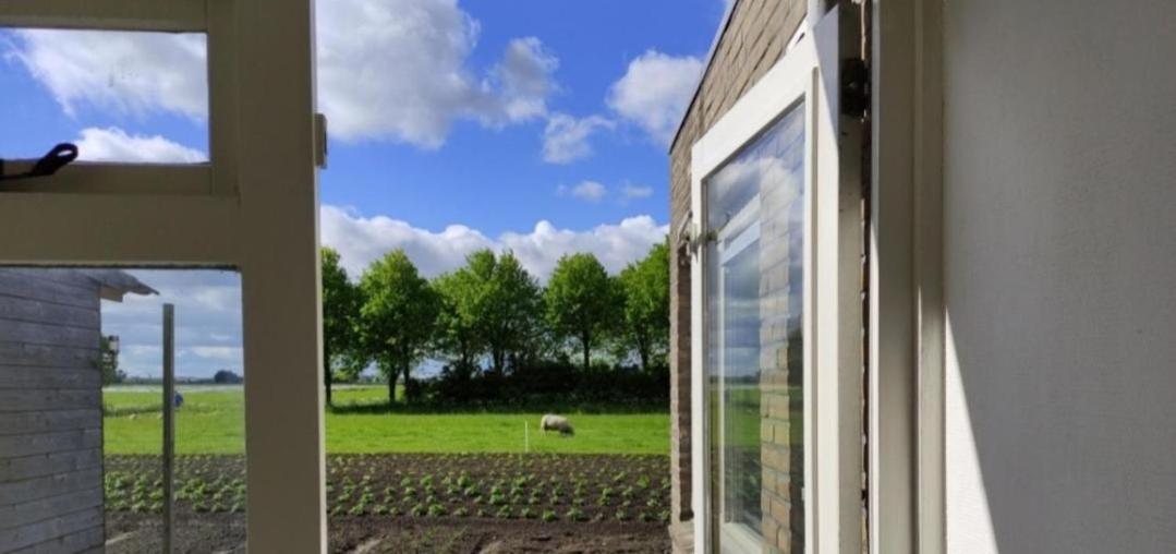 In Het Mooie Friesland Vele Bezienswaardigheden Hantum المظهر الخارجي الصورة