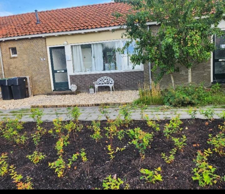 In Het Mooie Friesland Vele Bezienswaardigheden Hantum المظهر الخارجي الصورة