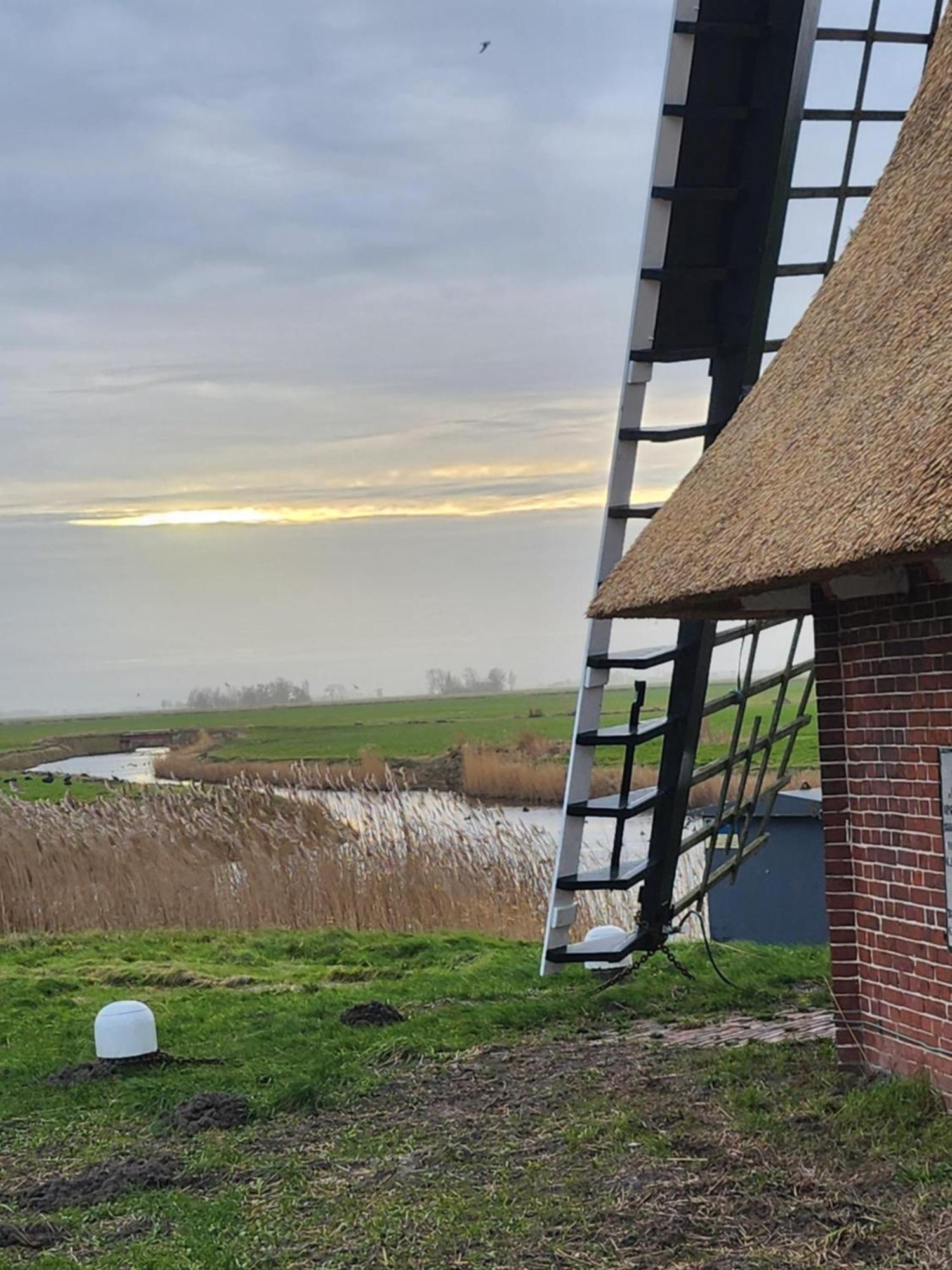In Het Mooie Friesland Vele Bezienswaardigheden Hantum المظهر الخارجي الصورة
