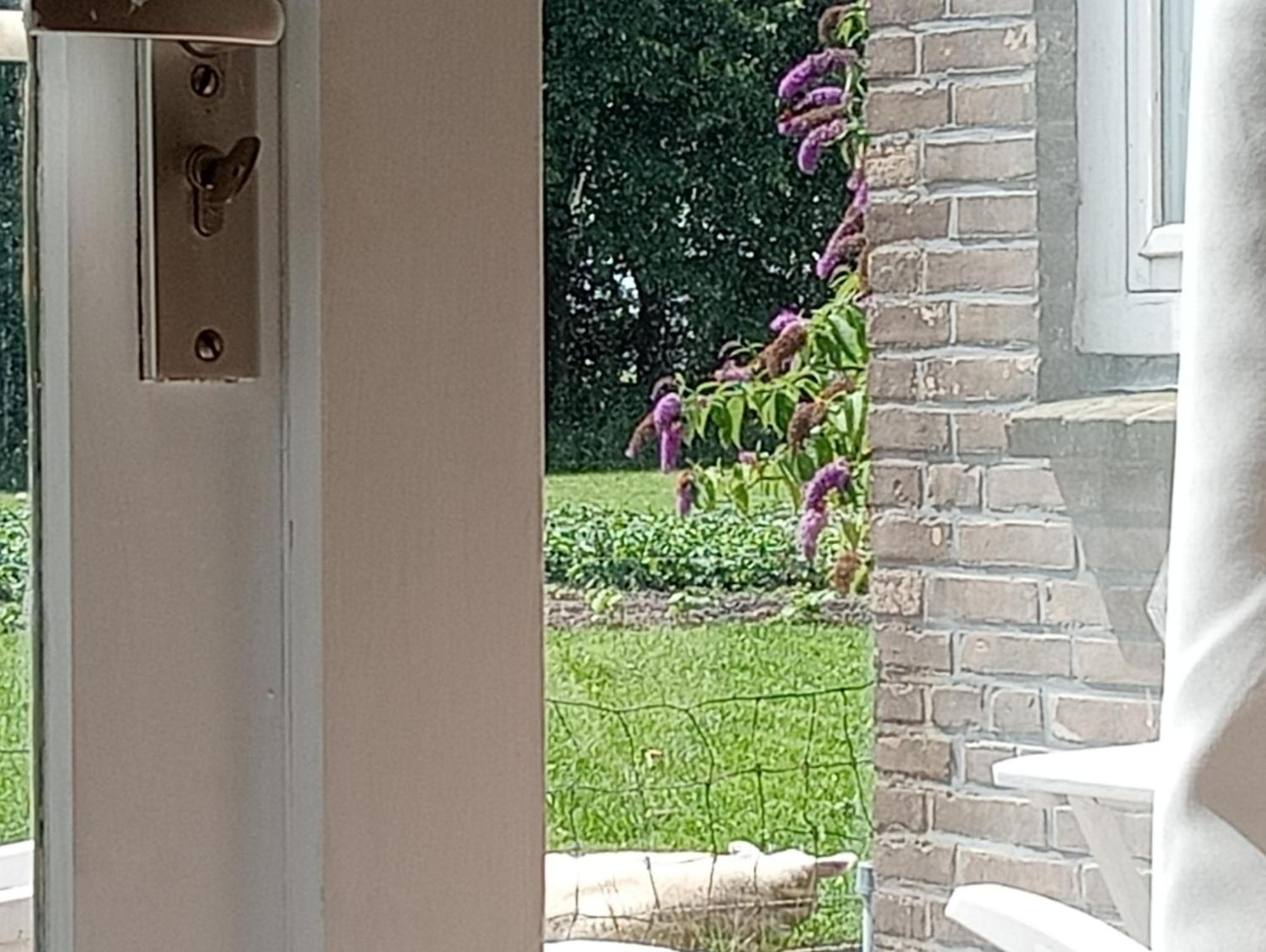 In Het Mooie Friesland Vele Bezienswaardigheden Hantum المظهر الخارجي الصورة